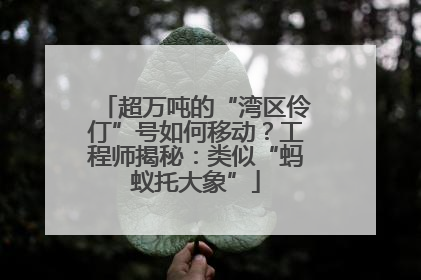 超万吨的“湾区伶仃”号如何移动？工程师揭秘：类似“蚂蚁托大象”