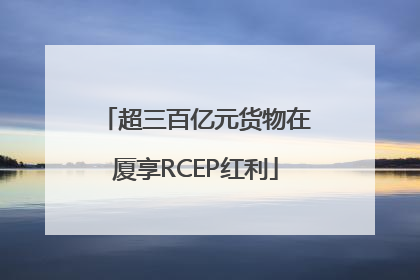 超三百亿元货物在厦享RCEP红利
