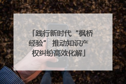 践行新时代“枫桥经验” 推动知识产权纠纷高效化解
