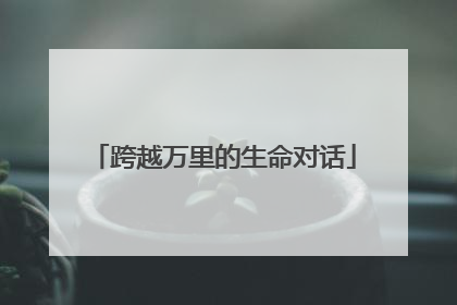 跨越万里的生命对话