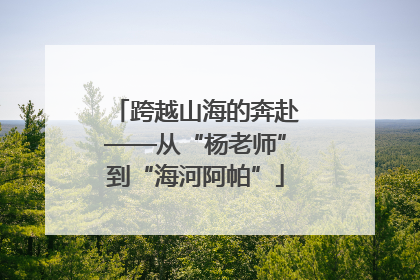 跨越山海的奔赴——从“杨老师”到“海河阿帕”