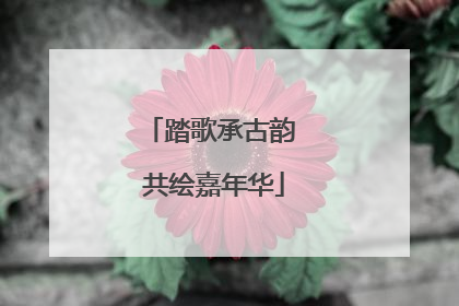 踏歌承古韵 共绘嘉年华