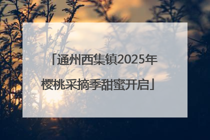 通州西集镇2025年樱桃采摘季甜蜜开启