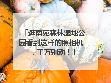 逛南苑森林湿地公园看到这样的照相机，千万别动！