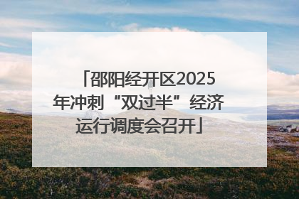 邵阳经开区2025年冲刺“双过半”经济运行调度会召开