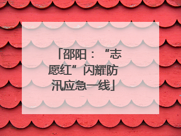 邵阳：“志愿红”闪耀防汛应急一线