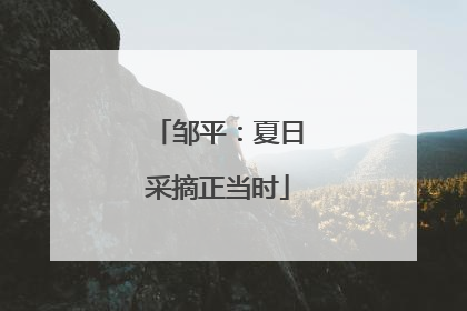 邹平：夏日采摘正当时