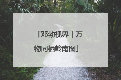邓勃视界｜万物同栖岭南图