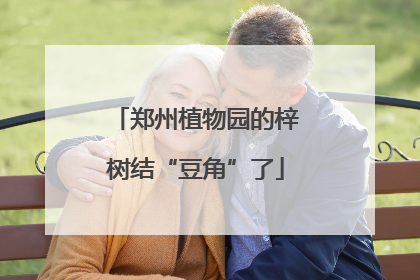 郑州植物园的梓树结“豆角”了