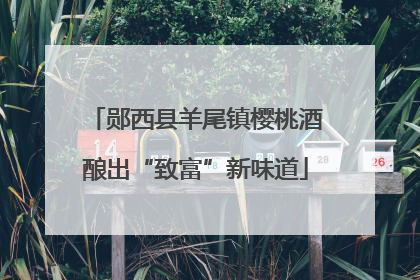郧西县羊尾镇樱桃酒酿出“致富”新味道