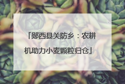郧西县关防乡：农耕机助力小麦颗粒归仓