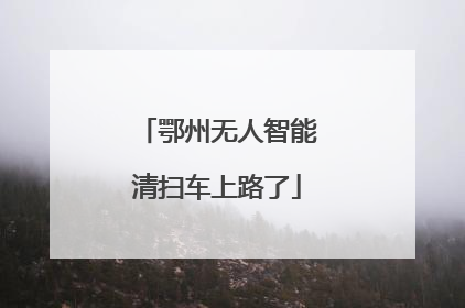 鄂州无人智能清扫车上路了