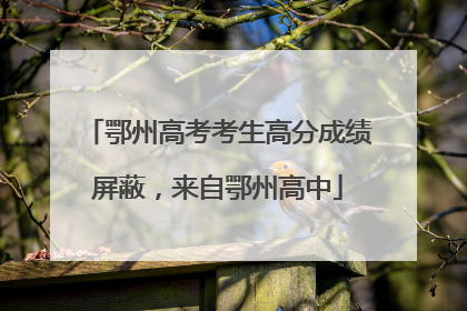 鄂州高考考生高分成绩屏蔽，来自鄂州高中