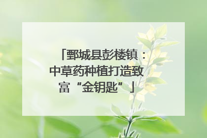 鄄城县彭楼镇：中草药种植打造致富“金钥匙”