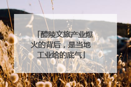 醴陵文旅产业爆火的背后，是当地工业给的底气