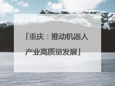 重庆：推动机器人产业高质量发展
