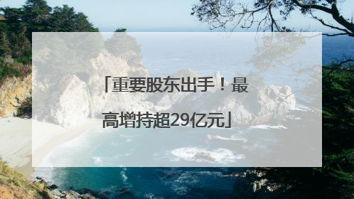 重要股东出手！最高增持超29亿元