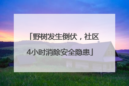 野树发生倒伏，社区4小时消除安全隐患