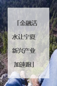 金融活水让宁夏新兴产业加速跑