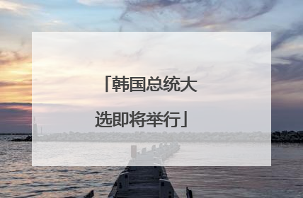 韩国总统大选即将举行