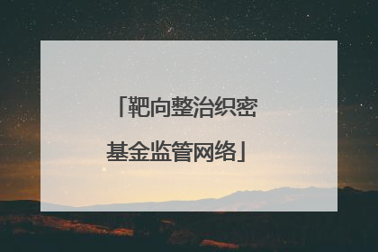 靶向整治织密基金监管网络