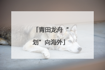 青田龙舟“划”向海外