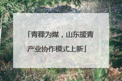 青稞为媒，山东援青产业协作模式上新