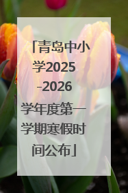 青岛中小学2025-2026学年度第一学期寒假时间公布
