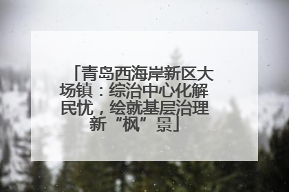 青岛西海岸新区大场镇：综治中心化解民忧，绘就基层治理新“枫”景