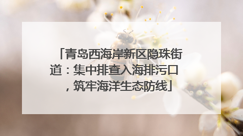 青岛西海岸新区隐珠街道：集中排查入海排污口，筑牢海洋生态防线
