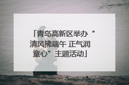 青岛高新区举办“清风拂端午 正气润童心”主题活动