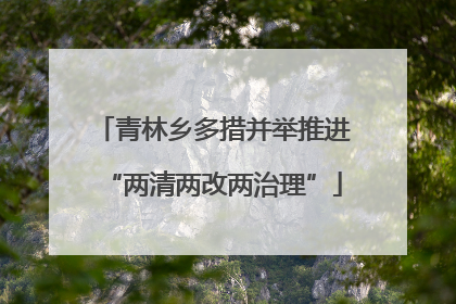 青林乡多措并举推进“两清两改两治理”