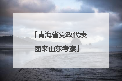 青海省党政代表团来山东考察