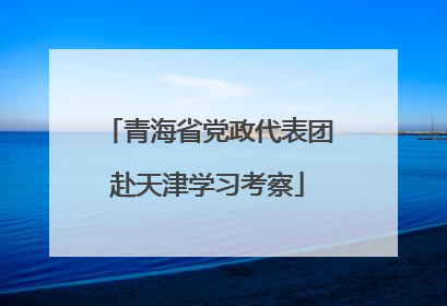 青海省党政代表团赴天津学习考察