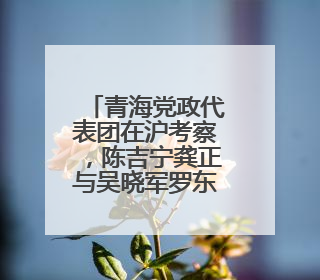 青海党政代表团在沪考察，陈吉宁龚正与吴晓军罗东川座谈交流，深化合作对接