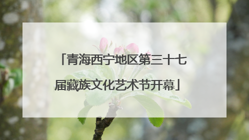 青海西宁地区第三十七届藏族文化艺术节开幕