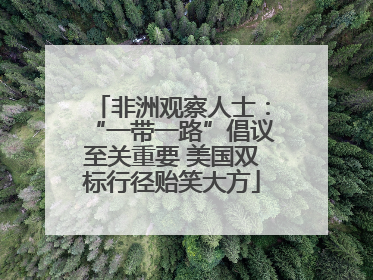 非洲观察人士：“一带一路”倡议至关重要 美国双标行径贻笑大方