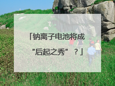 钠离子电池将成“后起之秀”？