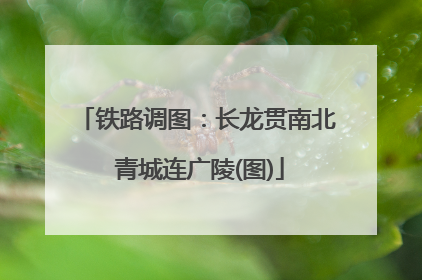 铁路调图：长龙贯南北 青城连广陵(图)