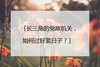 长三角的党政机关，如何过好紧日子？