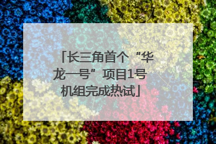 长三角首个“华龙一号”项目1号机组完成热试