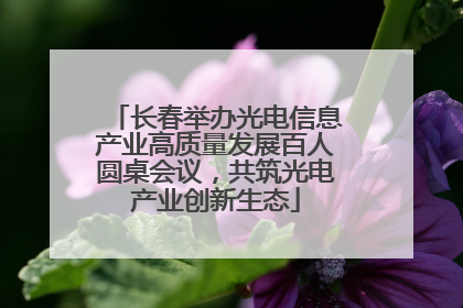 长春举办光电信息产业高质量发展百人圆桌会议，共筑光电产业创新生态