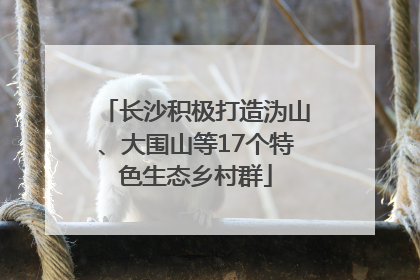长沙积极打造沩山、大围山等17个特色生态乡村群