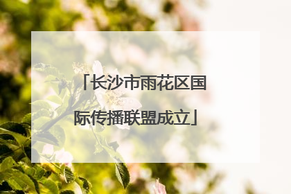长沙市雨花区国际传播联盟成立