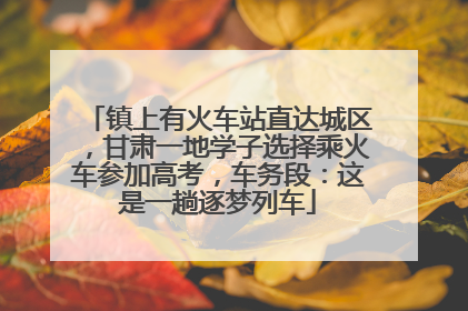 镇上有火车站直达城区，甘肃一地学子选择乘火车参加高考，车务段：这是一趟逐梦列车
