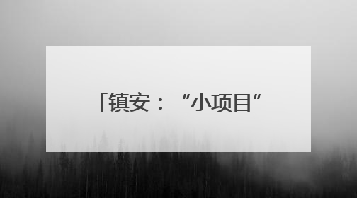 镇安：“小项目”撬动“大民生”
