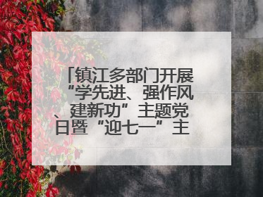镇江多部门开展“学先进、强作风、建新功”主题党日暨“迎七一”主题活动