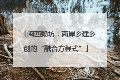 闽西赖坊：两岸乡建乡创的“融合方程式”