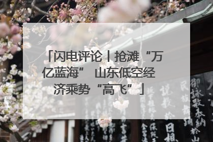 闪电评论丨抢滩“万亿蓝海” 山东低空经济乘势“高飞”