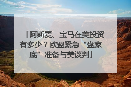 阿斯麦、宝马在美投资有多少？欧盟紧急“盘家底”准备与美谈判